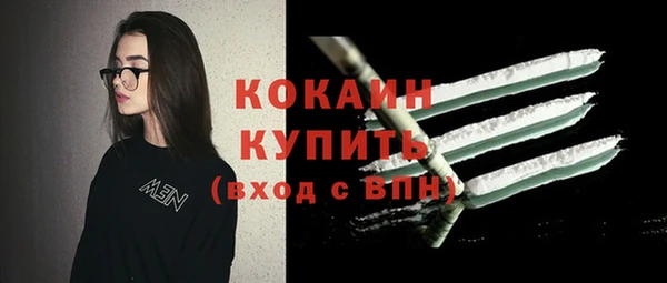 индика Богданович