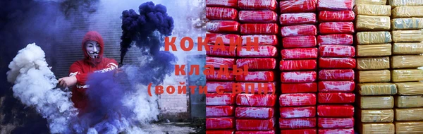 каннабис Белокуриха
