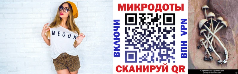 Псилоцибиновые грибы MAGIC MUSHROOMS  Губкинский 